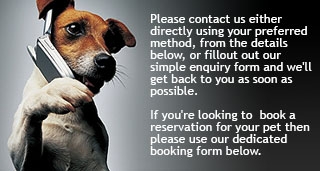 Get in touch with Derrings Kennels if you need any information or wish to book