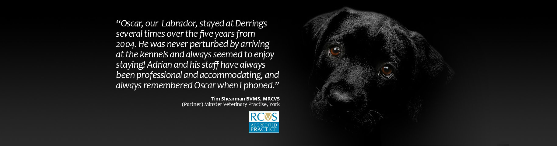 The services we offer come highly recommended by our amazing customers & pets